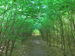 20150514115732IMG_2764